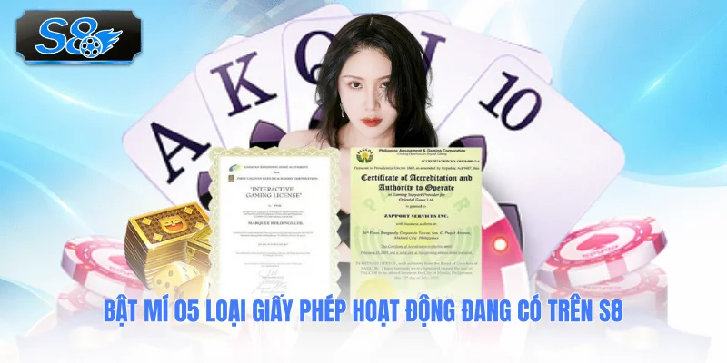 bat-mi-05-loai-giay-phep-hoat-dong-dang-co-tren-s8