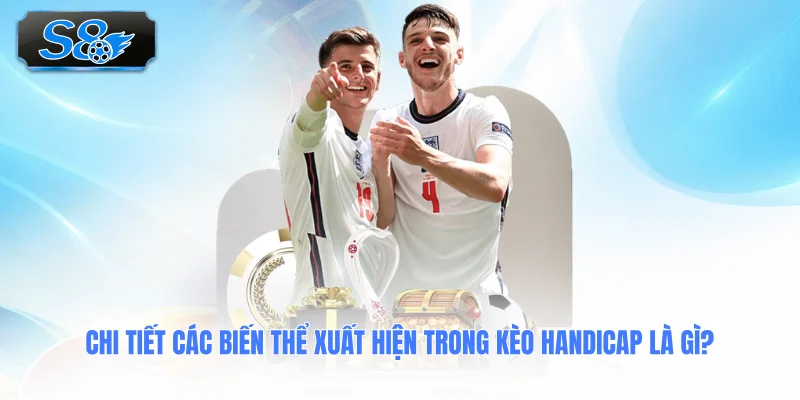 chi-tiet-cac-bien-the-xuat-hien-trong-keo-handicap-la-gi