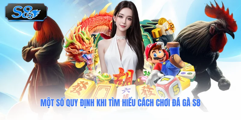 mot-so-quy-dinh-khi-tim-hieu-cach-choi-da-ga-s8
