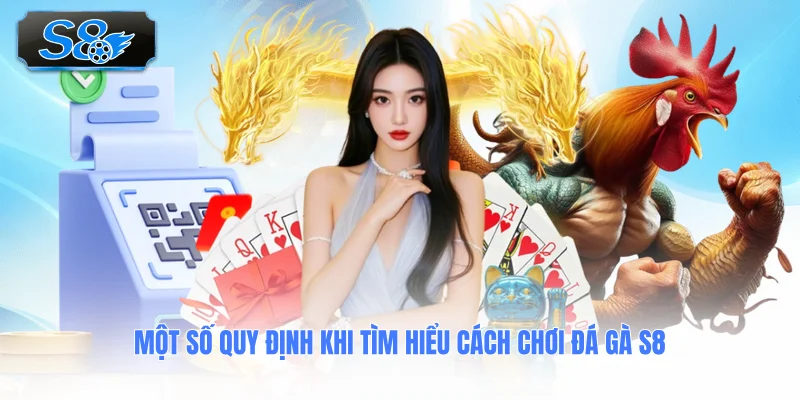mot-so-quy-dinh-khi-tim-hieu-cach-choi-da-ga-s8